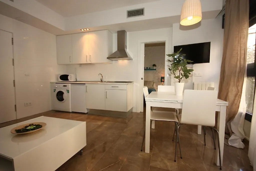 Apartamento Gran Capitan Granada 0*,